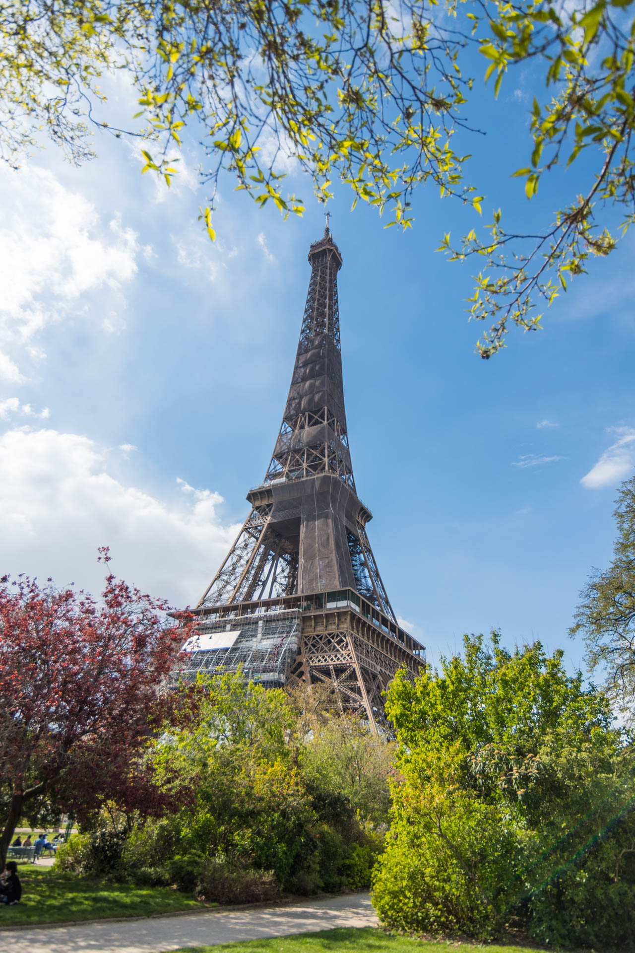 Tour Eiffel from Champ de Mars