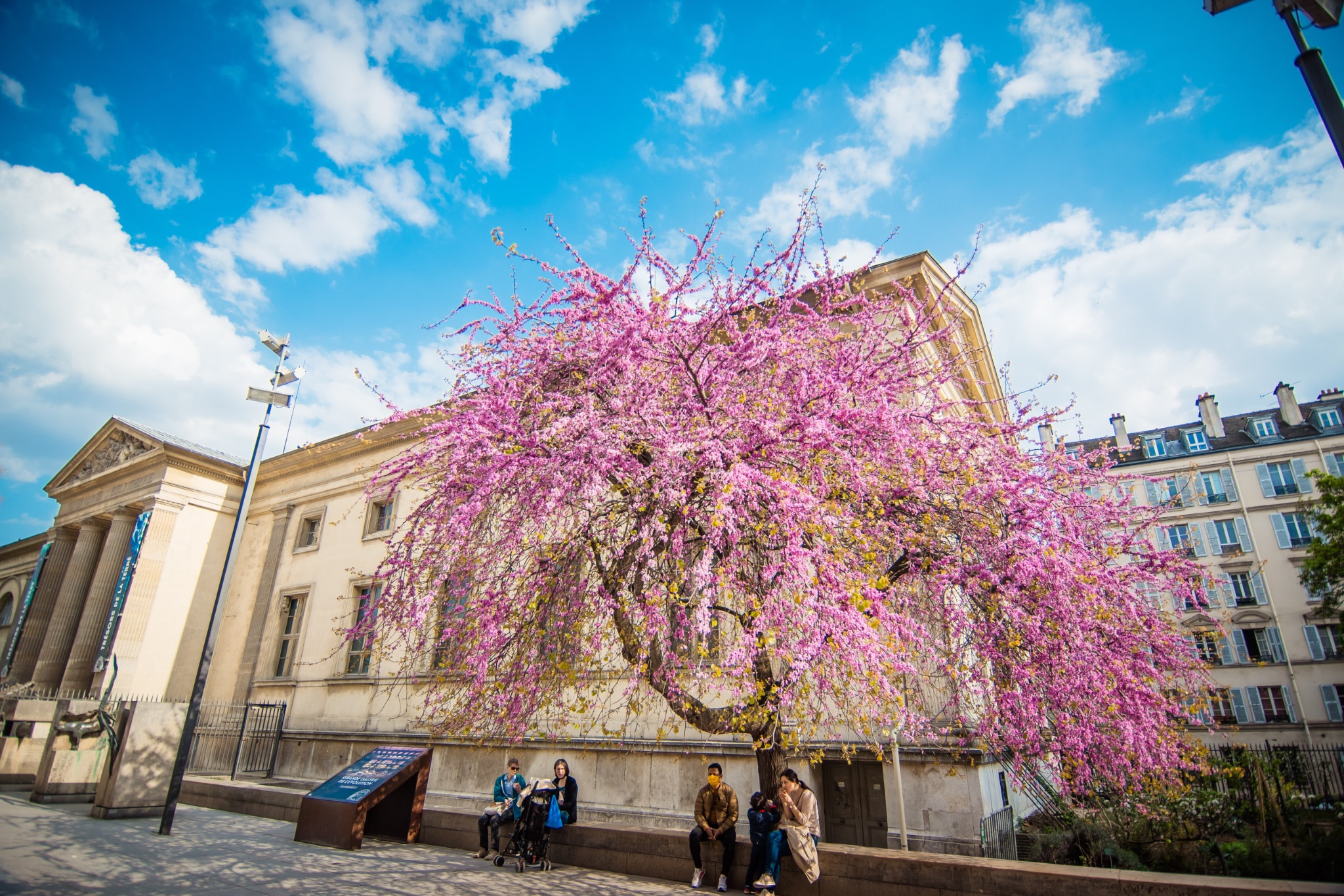 Galerie de Géologie et de Minéralogie, Jardin des Plantes, Paris 5