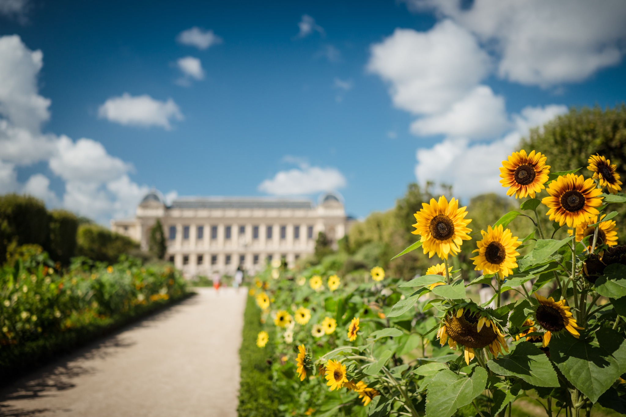Grande Galerie de l'Évolution from Jardin des Plantes, Paris 5