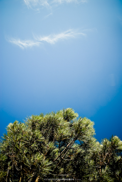 Parc Animalier et Botanique de Branféré, Morbihan
