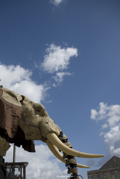 Les Machines de l'île - Nantes