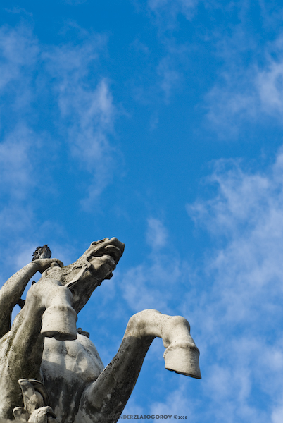Chevaux de Marly, Place de la Concorde, Paris