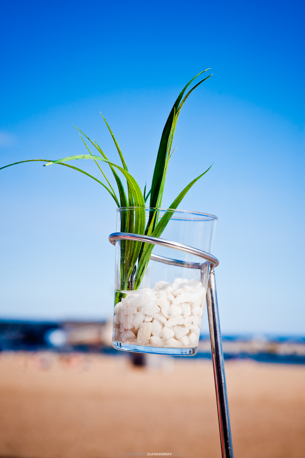 Opium Bar, Playa La Barceloneta, Barcelona